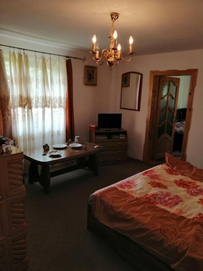 Villa Casa Ilea -Agapia Esterno foto