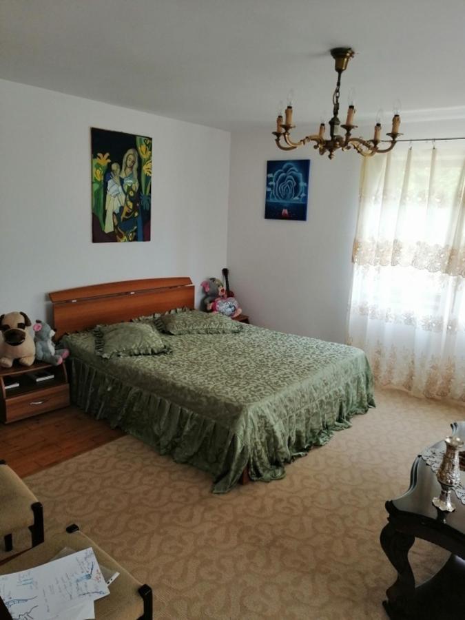 Villa Casa Ilea -Agapia Esterno foto