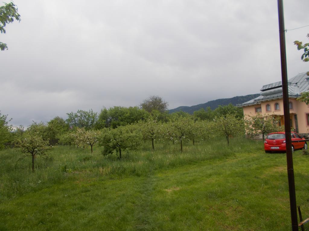 Villa Casa Ilea -Agapia Esterno foto